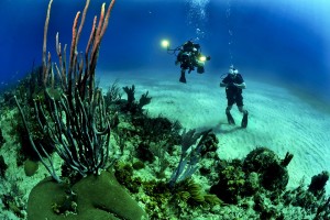 divers-681516_960_720